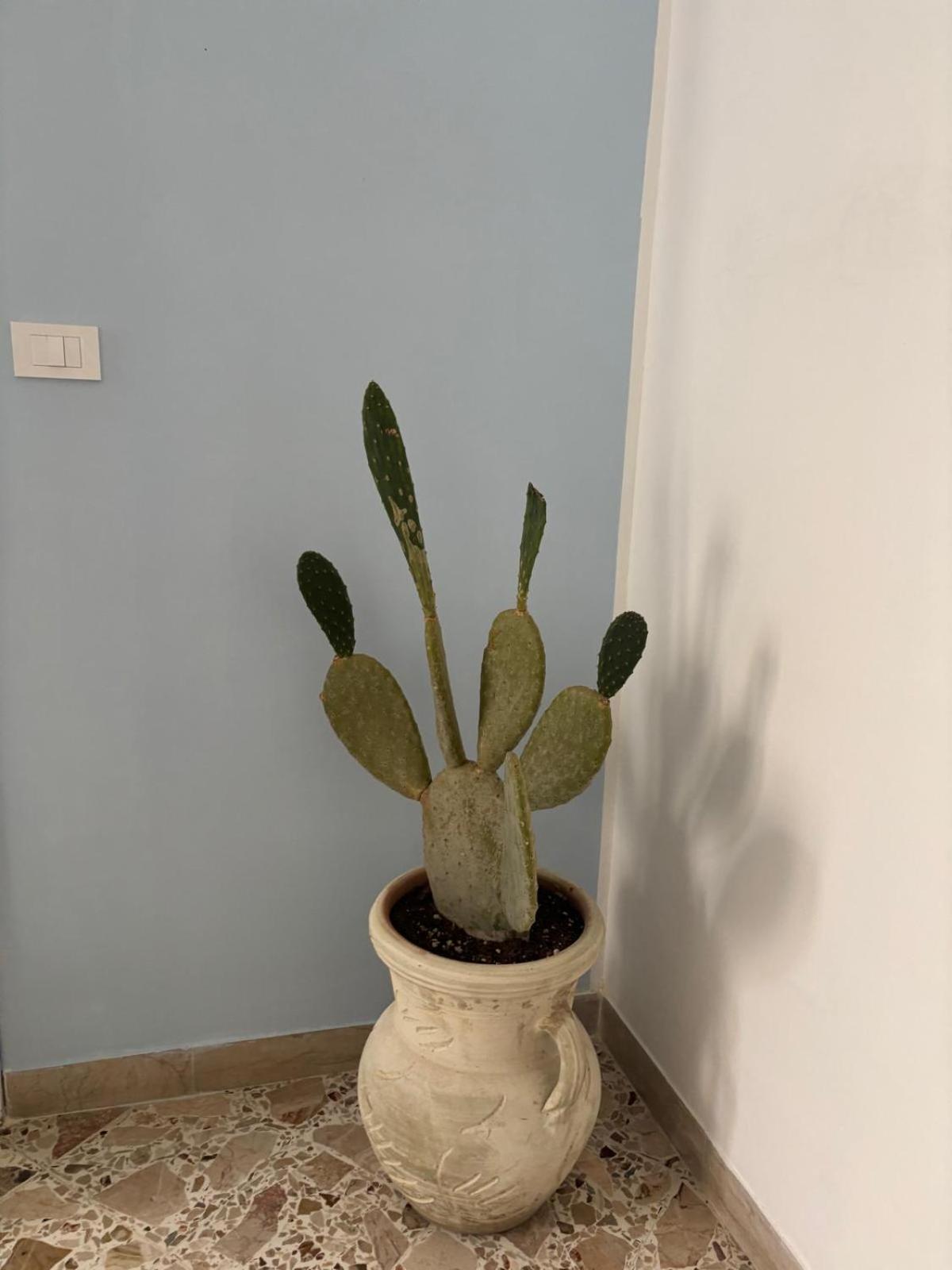 Il Fico D'India Apartment Marsala Luaran gambar